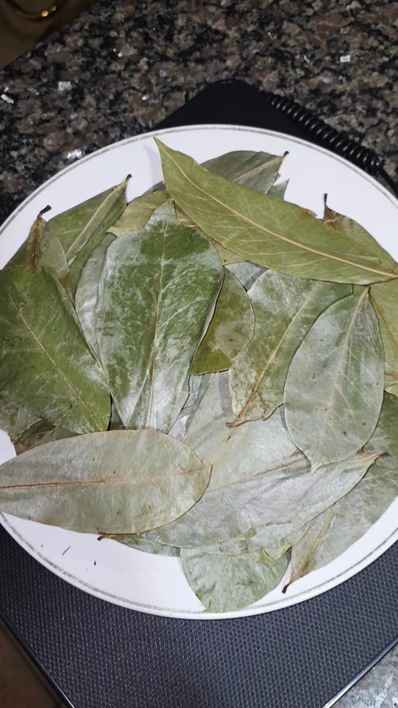 Organic Soursop Leaves